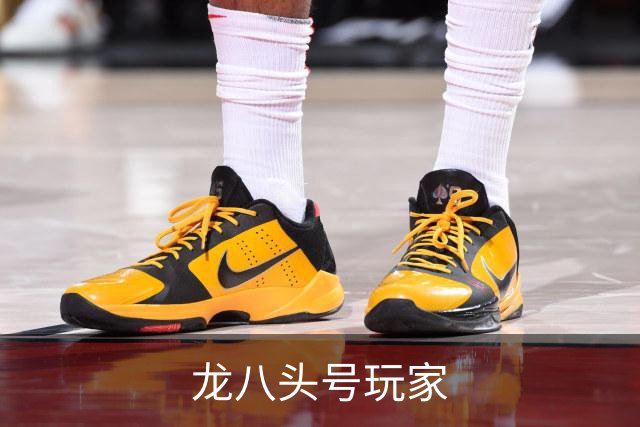 龙八头号玩家公司简介